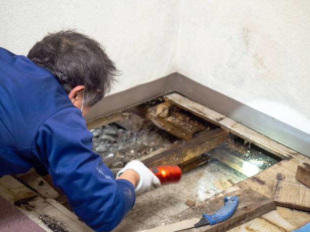 Best Crawl Space Mold Removal  in Crowley, LA