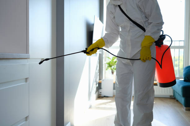 Best Certified Mold Removal  in Crowley, LA