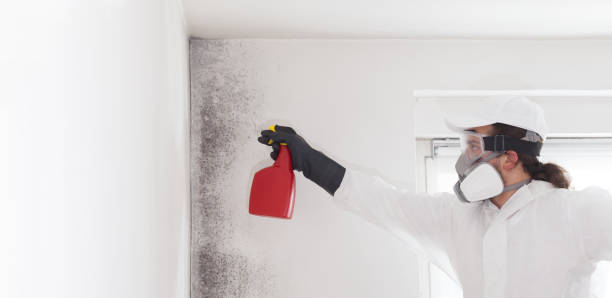 Best Commercial Mold Removal  in Crowley, LA