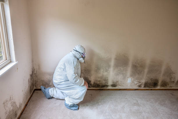 Best Mold Remediation  in Crowley, LA