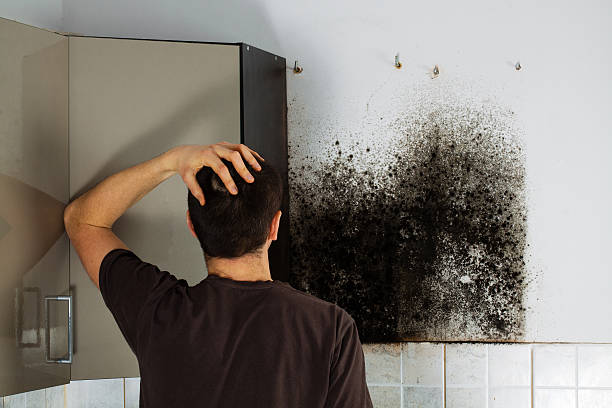 Best Mold Testing and Removal  in Crowley, LA