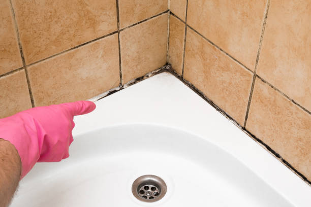 Best Mold Testing  in Crowley, LA